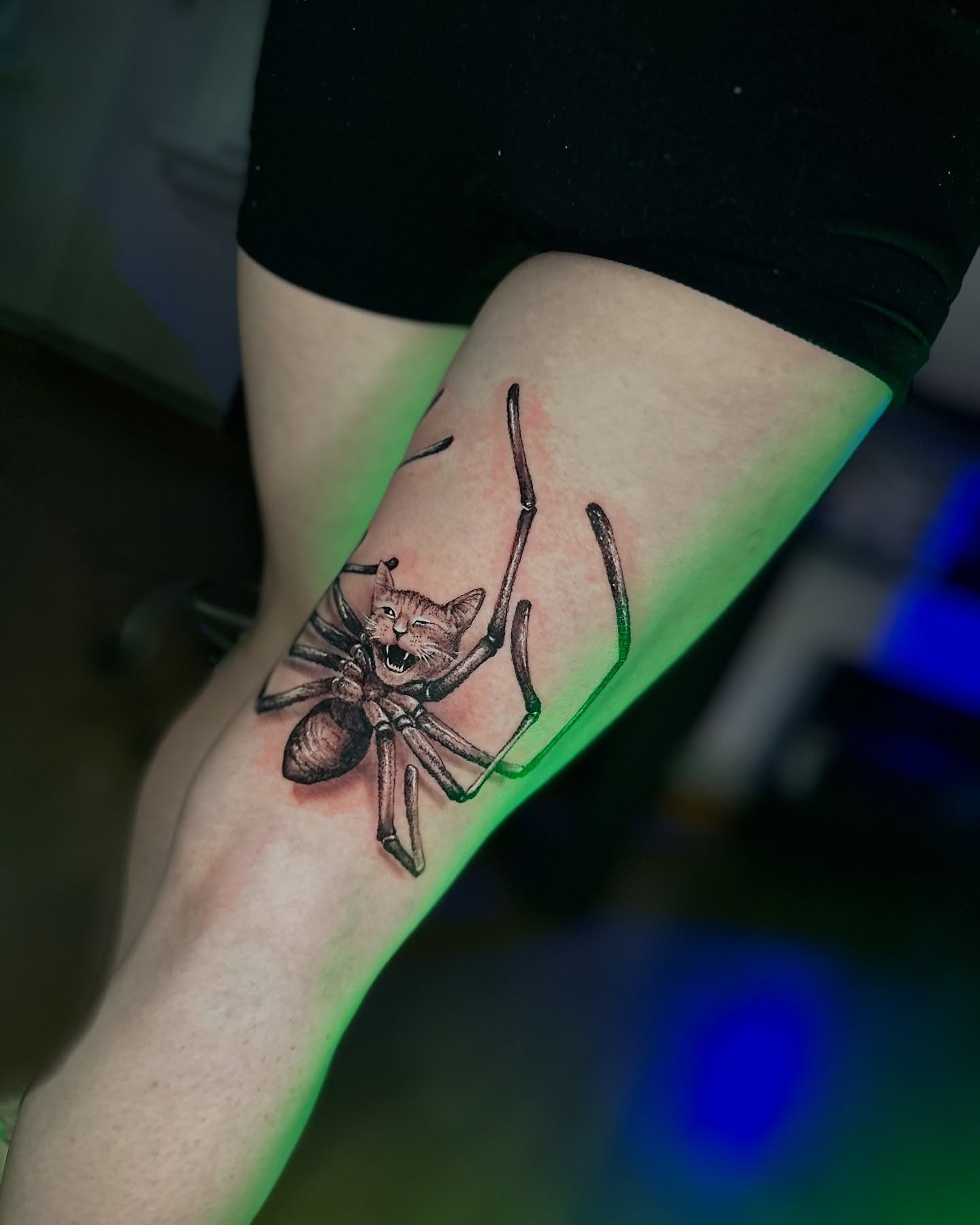 Авторська робота AKULA TATTOO