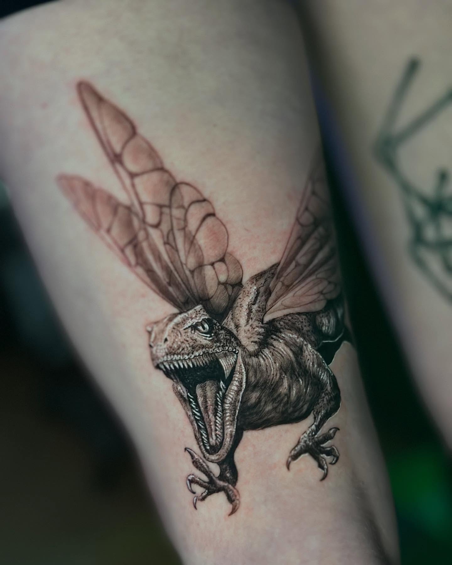 Авторська робота AKULA TATTOO